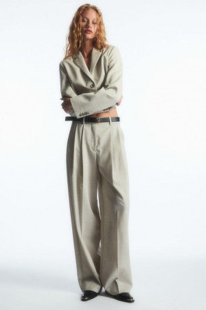 Pantaloni Dama COS Largi-leg Tailored Lână Bej Deschis | LMJPY-2491