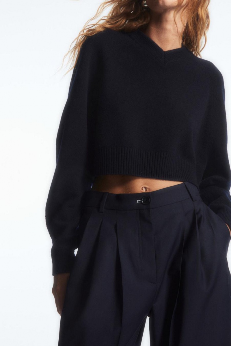 Pantaloni Dama COS Barrel-leg Lână Bleumarin | VRAEH-4389