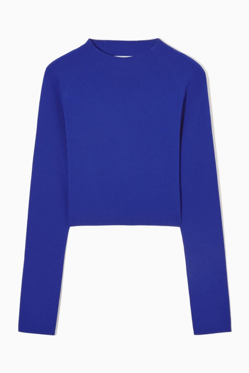 Top Dama COS Cropped Tricotate Mock-neck Albastri Deschis | PQNIE-2094